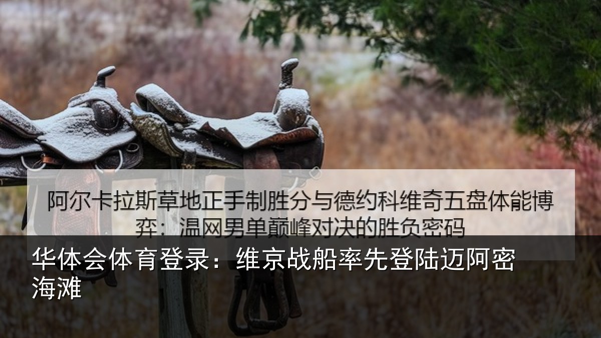 华体会体育登录：维京相关情况密海滩