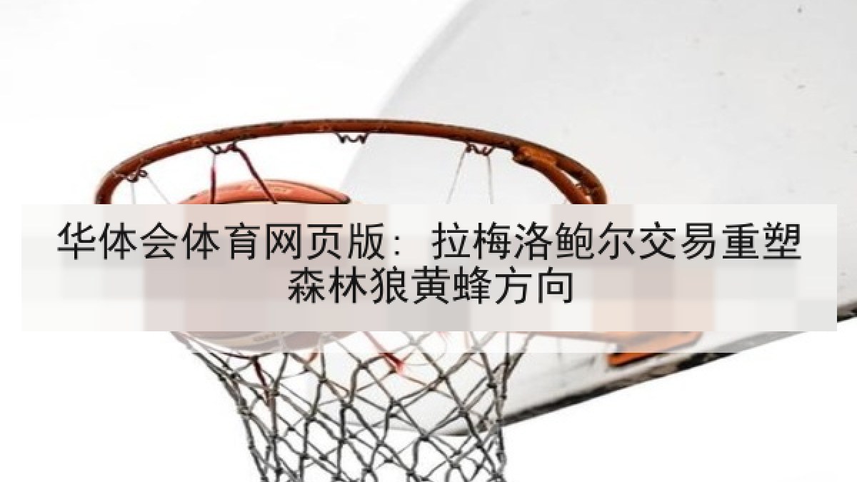 华体会体育网页版: 拉梅洛鲍尔交易重塑森林狼黄蜂方向