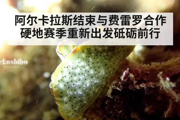 阿尔卡拉斯结束与费雷罗合作硬地赛季重新出发砥砺前行
